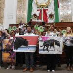 CDMX governing body's discussion of bloodless bullfighting