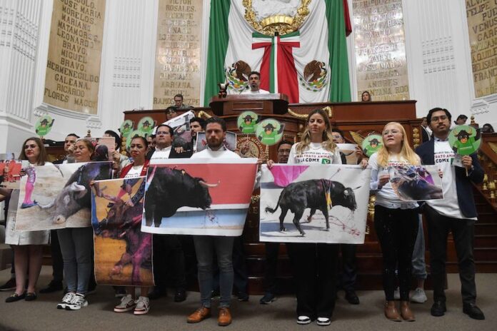 CDMX governing body's discussion of bloodless bullfighting