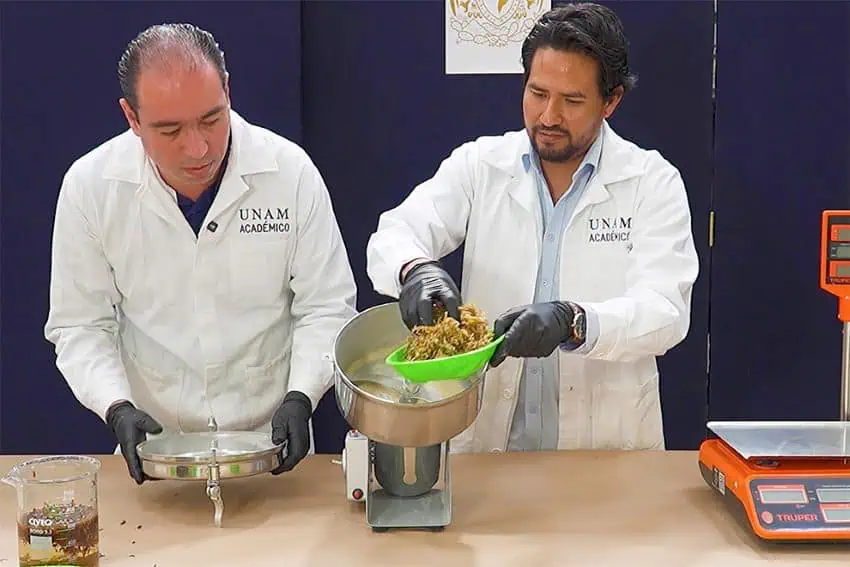 UNAM researchers illustrating the process to create sargapanel, a construction material made out of sargassum