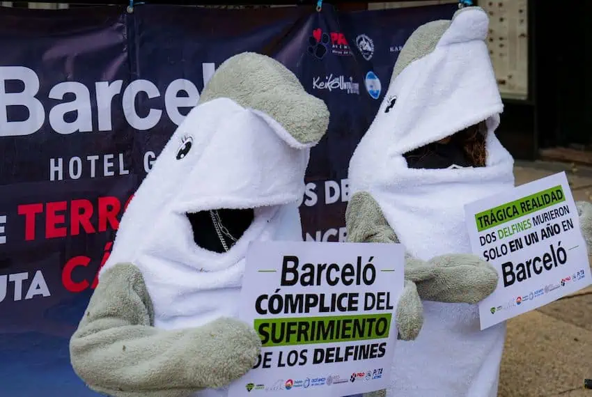 A protest by animal protection activists at a Hotel Barceló in Mexico City last year.