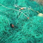 An illegal fishing net used to fish totoaba