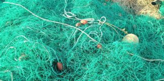 An illegal fishing net used to fish totoaba