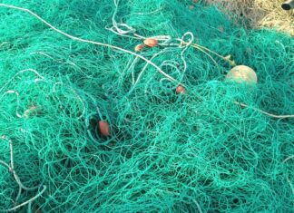 An illegal fishing net used to fish totoaba