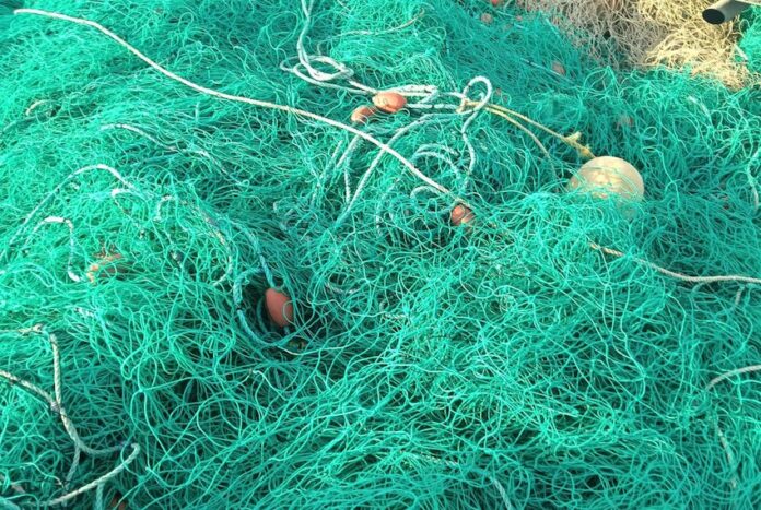 An illegal fishing net used to fish totoaba