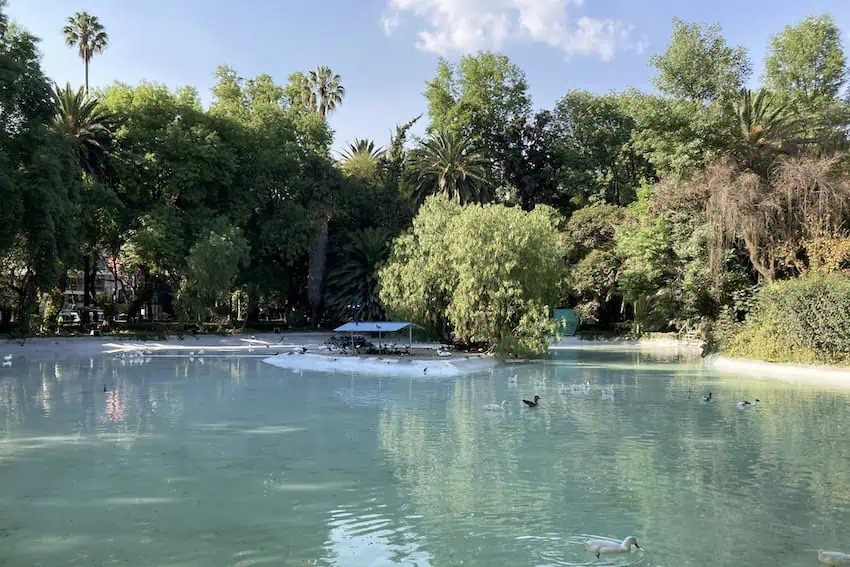 El estanque de pato en Parque México Ciudad de México