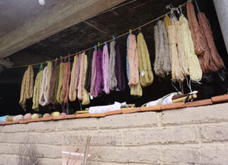 Cotton threads dyed with natural dyes belonging to a Oaxaca artisan cooperative.