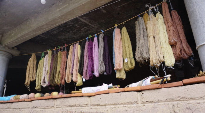 Cotton threads dyed with natural dyes belonging to a Oaxaca artisan cooperative.