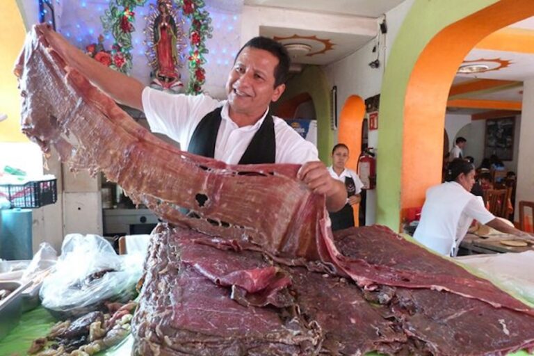 State by plate: Morelos and Cecina de Yecapixtla