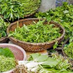 Baskets of wild quelites