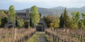 Dos Búhos winery on the Wine, Cheese, and Art route in Guanajuato.