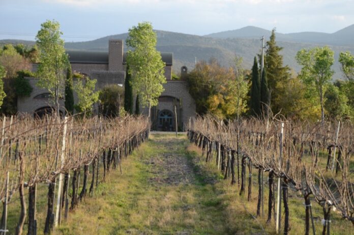 Dos Búhos winery on the Wine, Cheese, and Art route in Guanajuato.