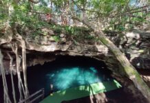 The clear blue waters of the Dzombakal cenote in Yucatán