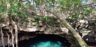 The clear blue waters of the Dzombakal cenote in Yucatán