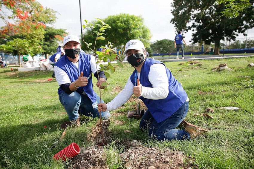 Volunteers wearing "Cruzada Forestal" caps plant a tree in a Mexican park in Mérida