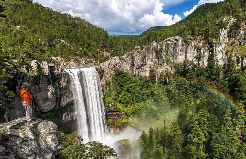 Man in an orange shirt looks out over a spectacular waterfall cascading down a cliff in the wooded state of Durango, Mexico