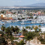 A view of the Los Cabos marina, surrounded by palm trees with condos in the background