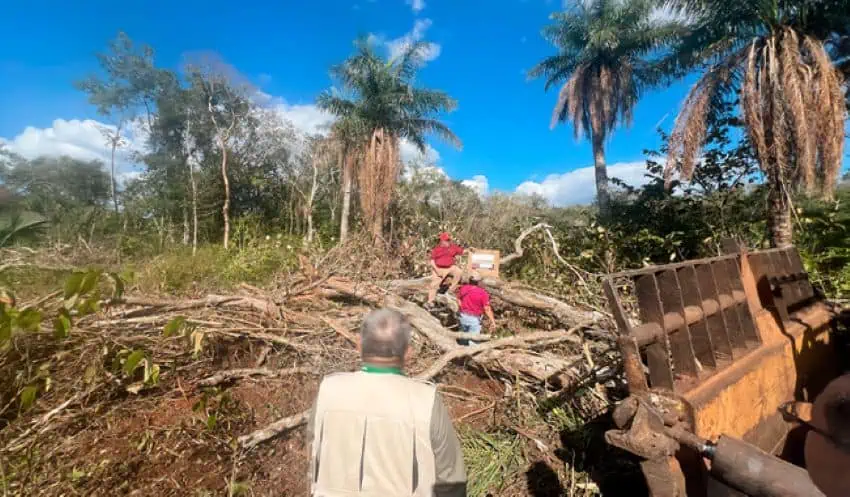 Piece of Mayan forest land in Yucatan, part of the Puuc Biocultural Reserve protected area, partially cleared by heavy machinery seen in the foreground. Men in red uniform polo shirts are placing official seals declaring the work stoppage. There are bulldozed trees everywhere in the photo lying on the ground.