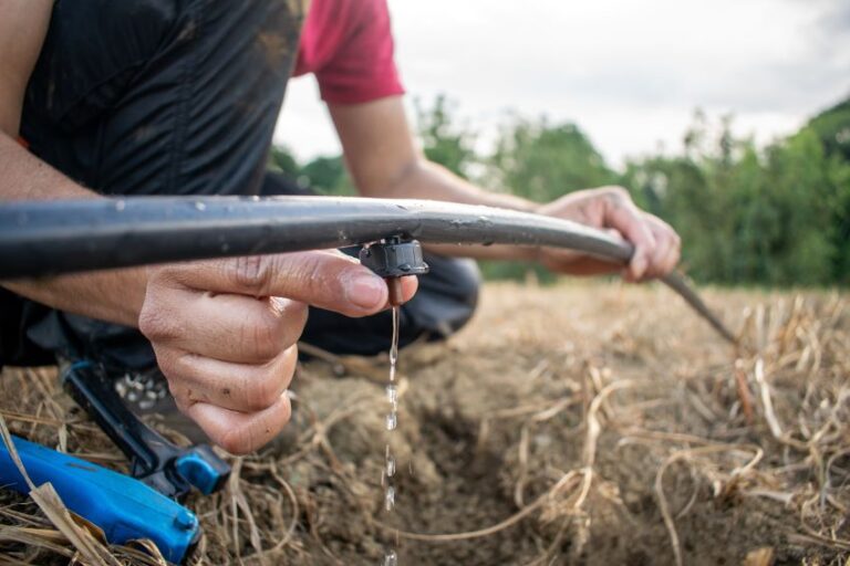 Amid deepening drought, Mexico works to reduce agricultural water waste Amid deepening drought, Mexico works to reduce agricultural water waste