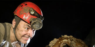 Muddy man wearing headlamp and helmet approaches skull of cave bear against dark background