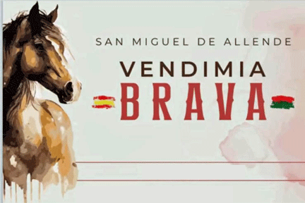 Vendimia Brava 2025 [] Viñedos San Francisco