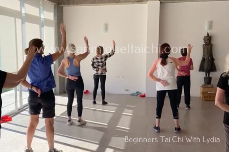 Tai Chi Essentials With Lydia Tai Chi Essentials With Lydia