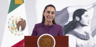 President Sheinbaum stands at a podium during her morning press conference