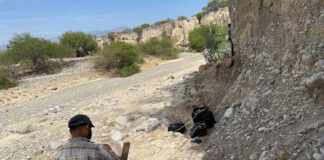 A man with a clipboard stands in the shade of a cliff with fossils in the deposited sediment