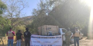 A tiger is relocated after being rescued from abandonment