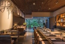 Japanese architecture influenced dining room at Pujol restaurant, with a long line of simple wood and thatched chairs in front of individual table in the center of the room and small two person booths of similar architecture along the left side of the room. At the far end of the photo is a floor-to-ceiling bay window with a view of a courtyard filled with lush green vegetation.