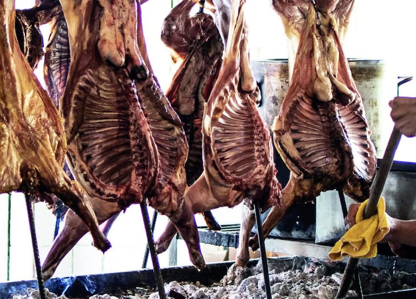 Cabrito being cooked implicit blistery coals