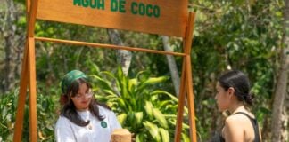 Young woman standing at a wooden restaurant serving booth handing over a coconut shell glass of coconut water to a young female customer on the other side of the booth, which is located outside in a verdant background of trees.