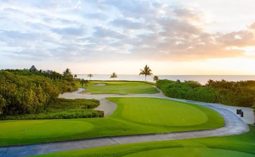 a golf green at the Mayakoba golf course