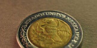 The peso has appreciated more than 5% since Trump took office in January, with about half of its gains happening in the last week.