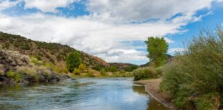 To the relief of Texas farmers and ranchers, the USDA said that the new U.S.-Mexico water pact "solidified a plan for immediate and short-term" water deliveries from the Rio Grande.