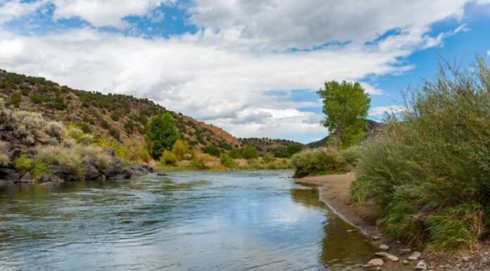 To the relief of Texas farmers and ranchers, the USDA said that the new U.S.-Mexico water pact "solidified a plan for immediate and short-term" water deliveries from the Rio Grande.