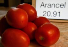 Photo illustration with Mexican tomatoes in a pile next to a sign listing a tariff rate.