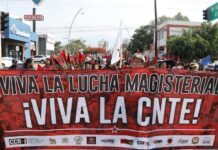 Protestors with the CNTE teachers' union march in CDMX.