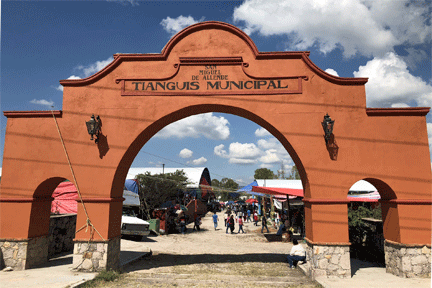 Tianguis de los Martes/Tuesday Market