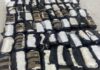 A drug bust in Janos, Chihuahua, resulted in the seizure of 100 packages containing nearly 500 kilograms of methamphetamine.