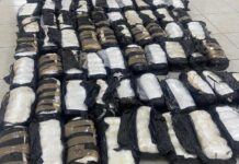 A drug bust in Janos, Chihuahua, resulted in the seizure of 100 packages containing nearly 500 kilograms of methamphetamine.