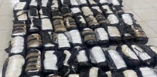 A drug bust in Janos, Chihuahua, resulted in the seizure of 100 packages containing nearly 500 kilograms of methamphetamine.