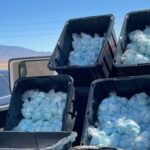 DEA fentanyl bust