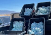 DEA fentanyl bust