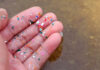 Fingers covered in small pieces of plastic