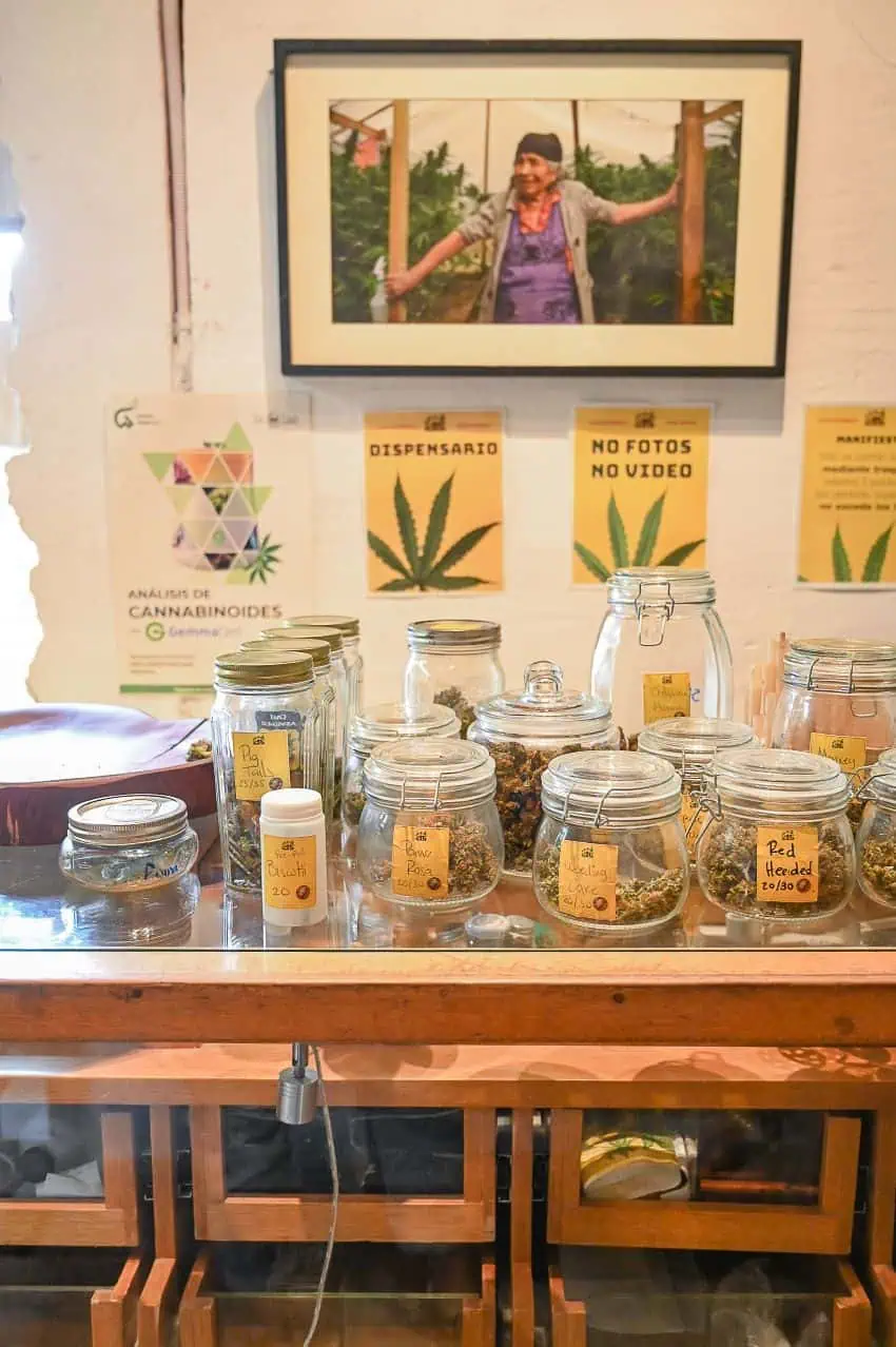 jars with cured marijuana being sold at a cannabis club in Oaxaca city