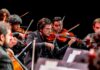 Classical musicians intently playing violins in an orchestra performance