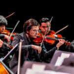 Classical musicians intently playing violins in an orchestra performance