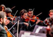 Classical musicians intently playing violins in an orchestra performance