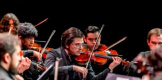 Classical musicians intently playing violins in an orchestra performance