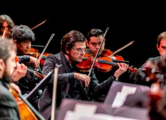 Classical musicians intently playing violins in an orchestra performance